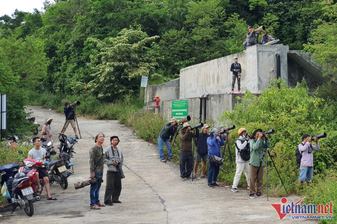 Son Tra Peninsula blooms - 4