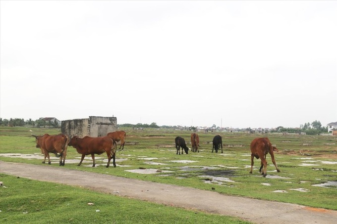 Nghe An sea salt makers quit due to low incomes - 2