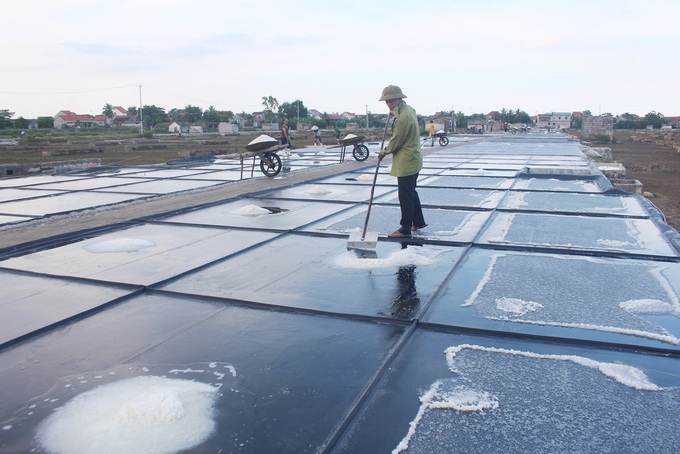 Nghe An sea salt makers quit due to low incomes - 1