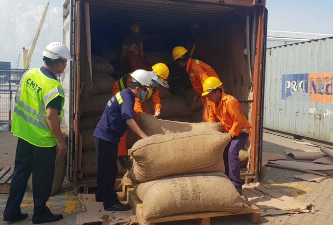 Six tonnes of pangolin scales seized - 2