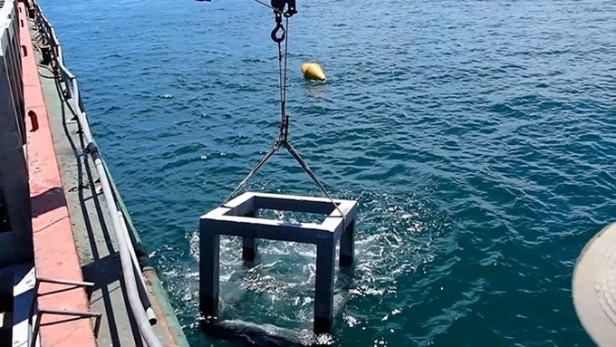 Artificial reef placement proves useful in Ca Mau province - 1 Artificial reef placement proves useful in Ca Mau province - 1