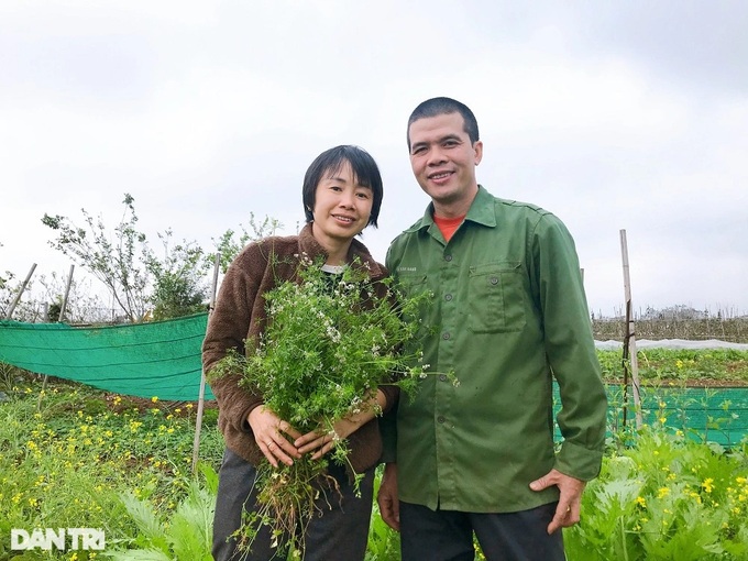 Hanoi couple perservere in organic farming - 1