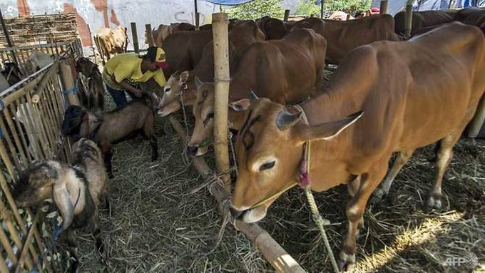 Indonesia, Australia set to ink long-awaited trade deal - 1