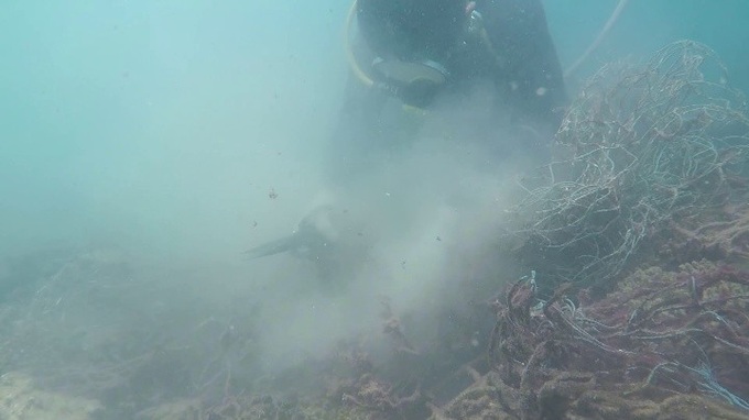 Divers collect rubbish from Con Dao coral reefs - 4