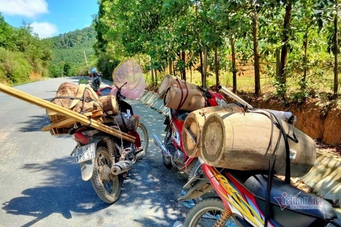 Bee colony collecting season in Ha Tinh - 6