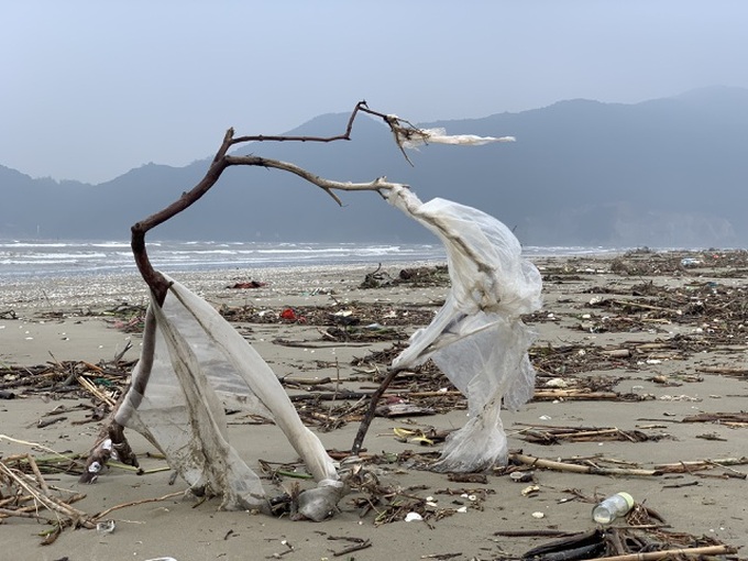 Rubbish blankets Ha Tinh beach following floods - 6