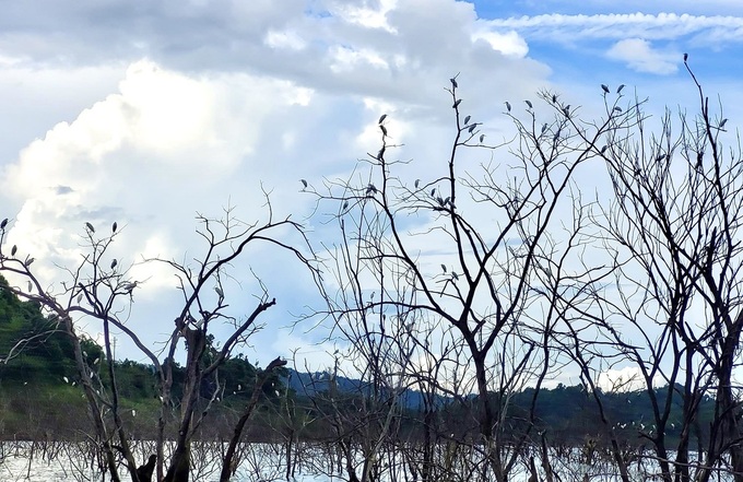 Ha Tinh national park’s pristine beauty - 8