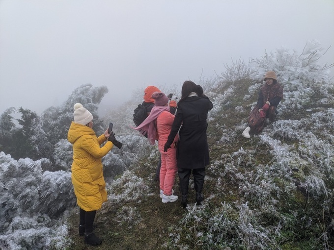 Thousands flock to Mau Son to see frost - 2
