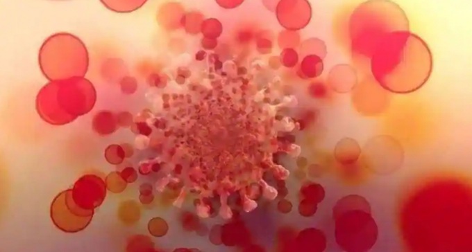 Omicron sub-variants BA.4 & BA.5 yet to be detected in Vietnam - 1