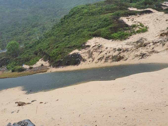 More than 100 people join hands to clean Ninh Thuan's polluted beach - 1 More than 100 people join hands to clean Ninh Thuan's polluted beach - 1