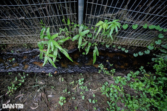 Dumping site plagues HCM City residents - 5