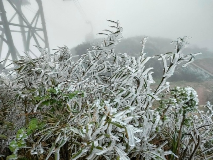 Frost appears on Fansipan Mountain - 1