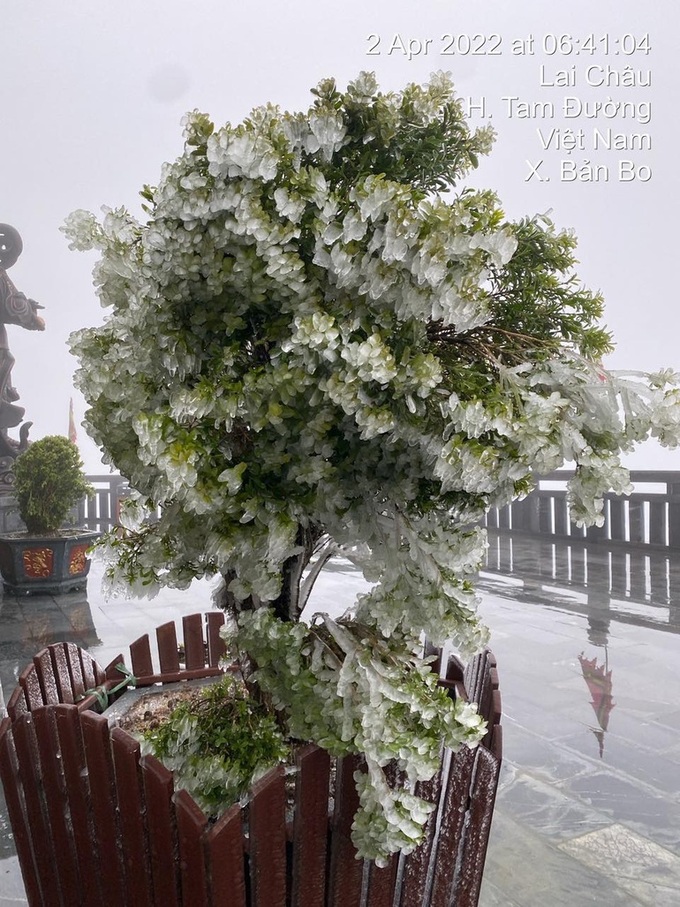 Frost appears on Fansipan Mountain - 3