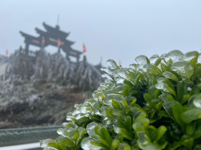 Frost appears on Fansipan Mountain - 7