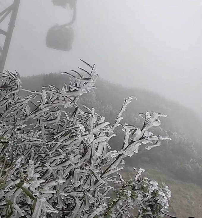 Frost appears on Fansipan Mountain - 6