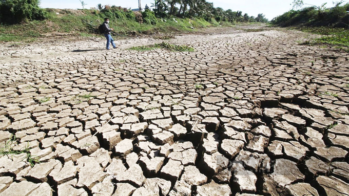 210,000 ha of crops threatened by saline intrusion in Mekong Delta region - 1