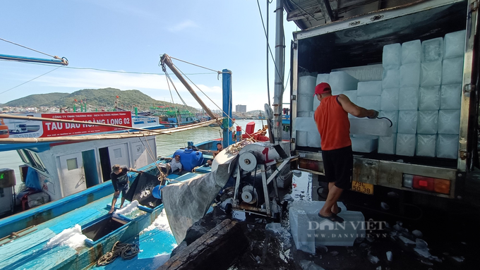 Khanh Hoa fishermen prepare for Tet trawling trips - 1 Khanh Hoa fishermen prepare for Tet trawling trips - 1