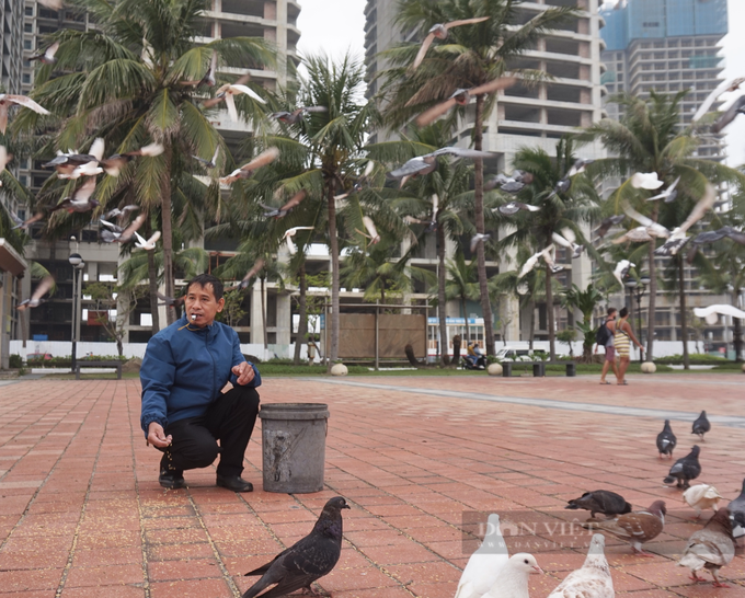 Danang man spends over decade caring for 1,000 pigeons - 2 Danang man spends over decade caring for 1,000 pigeons - 2