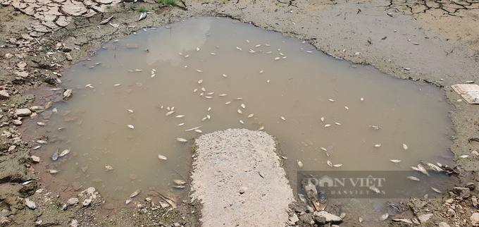 Southern reservoir dries out due to hot weather - 3