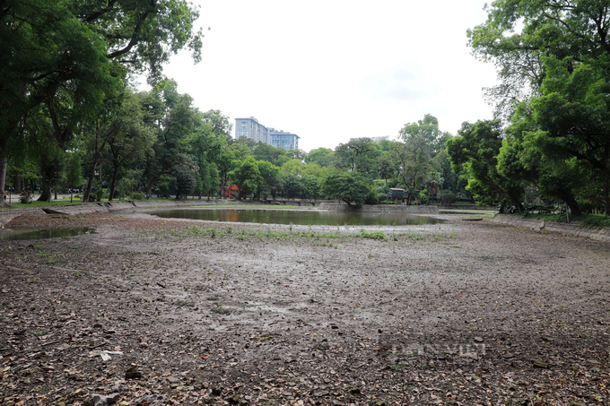 Lake at Hanoi Botanical Gardens dries up - 1