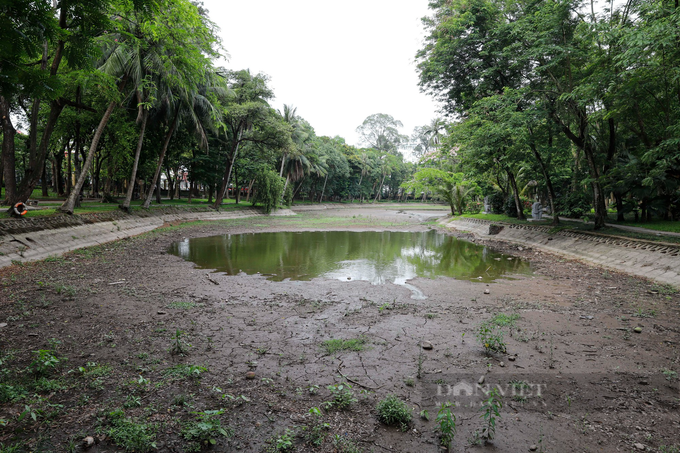 Lake at Hanoi Botanical Gardens dries up - 3