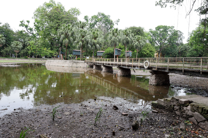 Lake at Hanoi Botanical Gardens dries up - 5