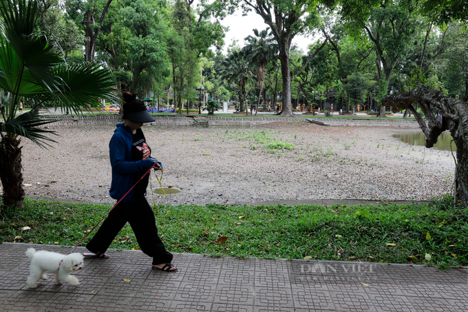 Lake at Hanoi Botanical Gardens dries up - 6