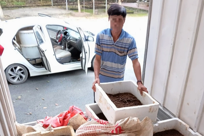Hoa Binh vows to curb earthworm hunting - 2 Hoa Binh vows to curb earthworm hunting - 2