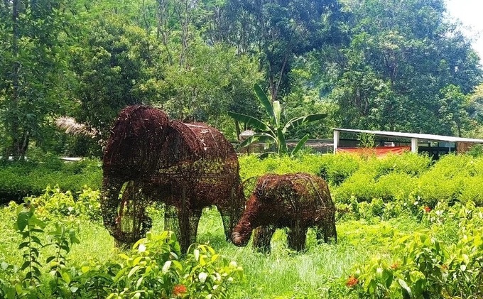 Animal traps transformed into elephant statues - 1 Animal traps transformed into elephant statues - 1