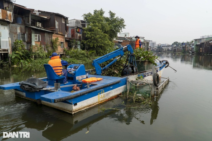 Environment workers protect HCM City canal - 2 Environment workers protect HCM City canal - 2