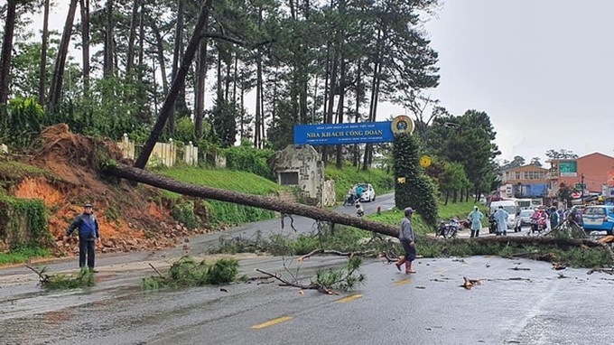 Heavy rain causes severe landslides in Dalat, tourists evacuated - 2 Heavy rain causes severe landslides in Dalat, tourists evacuated - 2