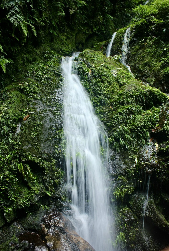 Ha Tinh national park’s pristine beauty - 3