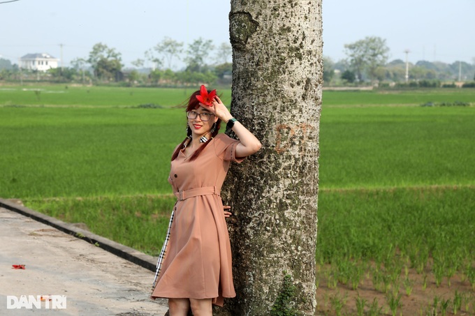 Red silk cotton flower season in Hanoi - 3