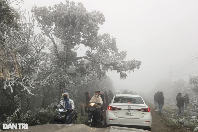 Lang Son mountain covered in frost - 5