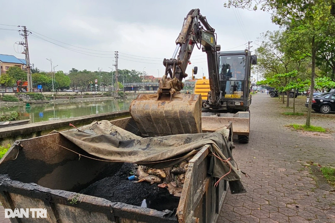 Around 300 tonnes of fish in Hai Duong die - 5 Around 300 tonnes of fish in Hai Duong die - 5