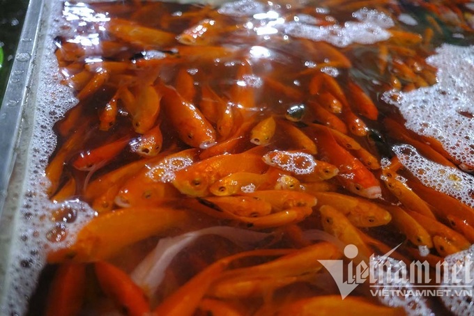 Hanoi's biggest fish market busy ahead of the Kitchen Gods' Day - 4 Hanoi's biggest fish market busy ahead of the Kitchen Gods' Day - 4