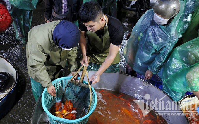 Hanoi's biggest fish market busy ahead of the Kitchen Gods' Day - 5 Hanoi's biggest fish market busy ahead of the Kitchen Gods' Day - 5
