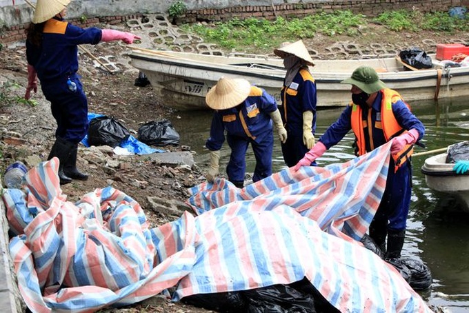 Mass fish deaths in iconic Hanoi lake - 3