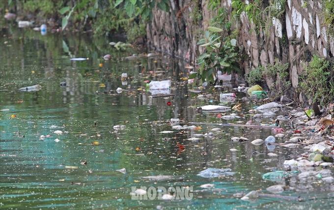 Another fish death hits Hanoi’s largest lake - 7 Another fish death hits Hanoi’s largest lake - 7