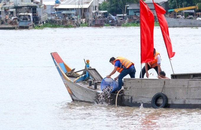 Over one million fingerlings released into Hau River - 1
