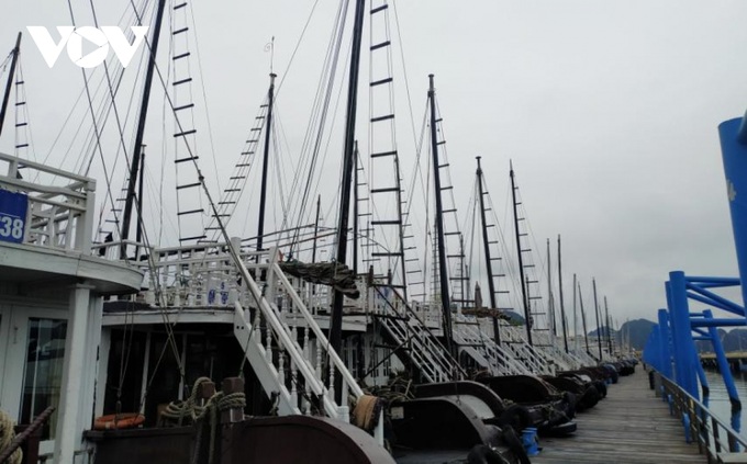 Quang Ninh boosts tourism activities this year - 1