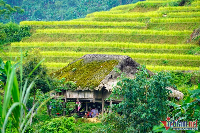 Moss-covered houses on Tay Con Linh Mountain - 8