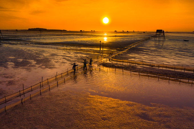 Pure beauty of Thai Binh clam farms - 8 Pure beauty of Thai Binh clam farms - 8