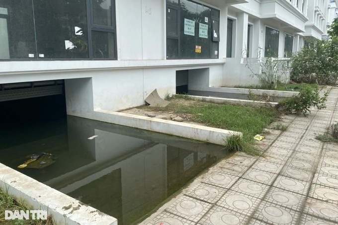Hanoi basements turned into ponds after rain. - 1