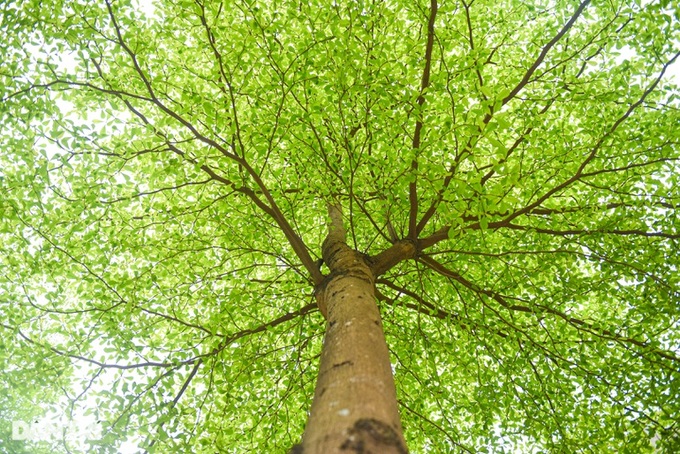 Hanoi street becomes attractive check-in destination - 2