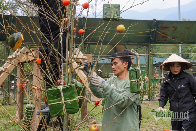 Tet atmosphere at Vietnam Bear Sanctuary - 3