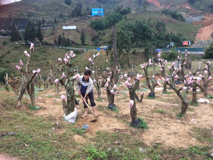 Sapa in cold days - 7