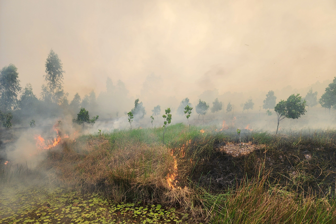 Fire engulfs Dong Thap national park - 1