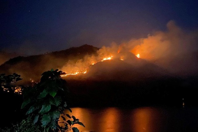 Fire damages over 50 ha of forest in Son La - 1