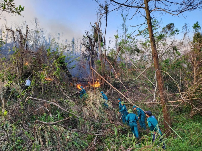 Typhoon-devastated forests face fires in Quang Ninh - 1